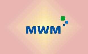 ✓ MWM 0331 6396 Запчасть MWM 